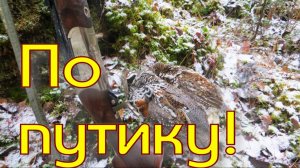 Погода установилась взвожу КП-120 в дуплянках Арса нашла выдру скоротечный бой поднял зайца