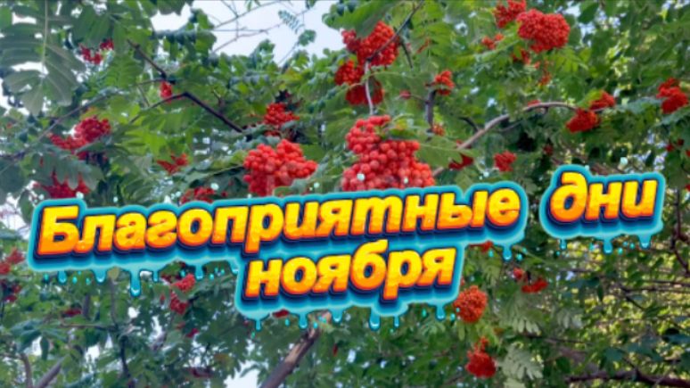 Благоприятные дни ноября 2025 года! смотреть онлайн