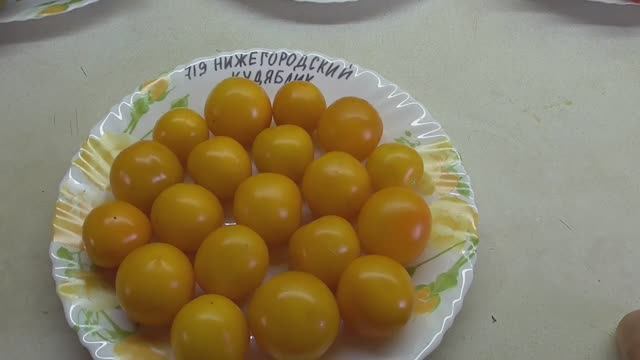 Томат Нижегородский кудяблик. №719. Обзор сорта и дегустация. смотреть онлайн