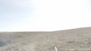 Два дня охоты на зайца в Волгоградских степях. Ружье Franchi Affinity кал.12