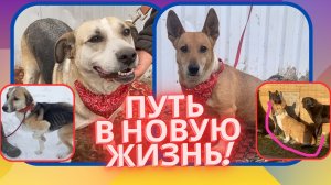 Бывшие Узники ППЖ просят помощи!