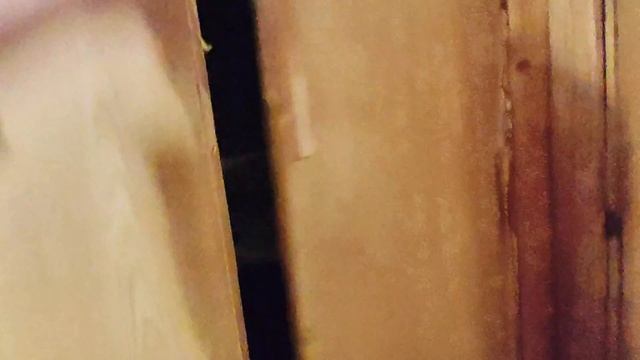 2-к кв., 45,2 м², г. Видное, ул. Школьная смотреть онлайн