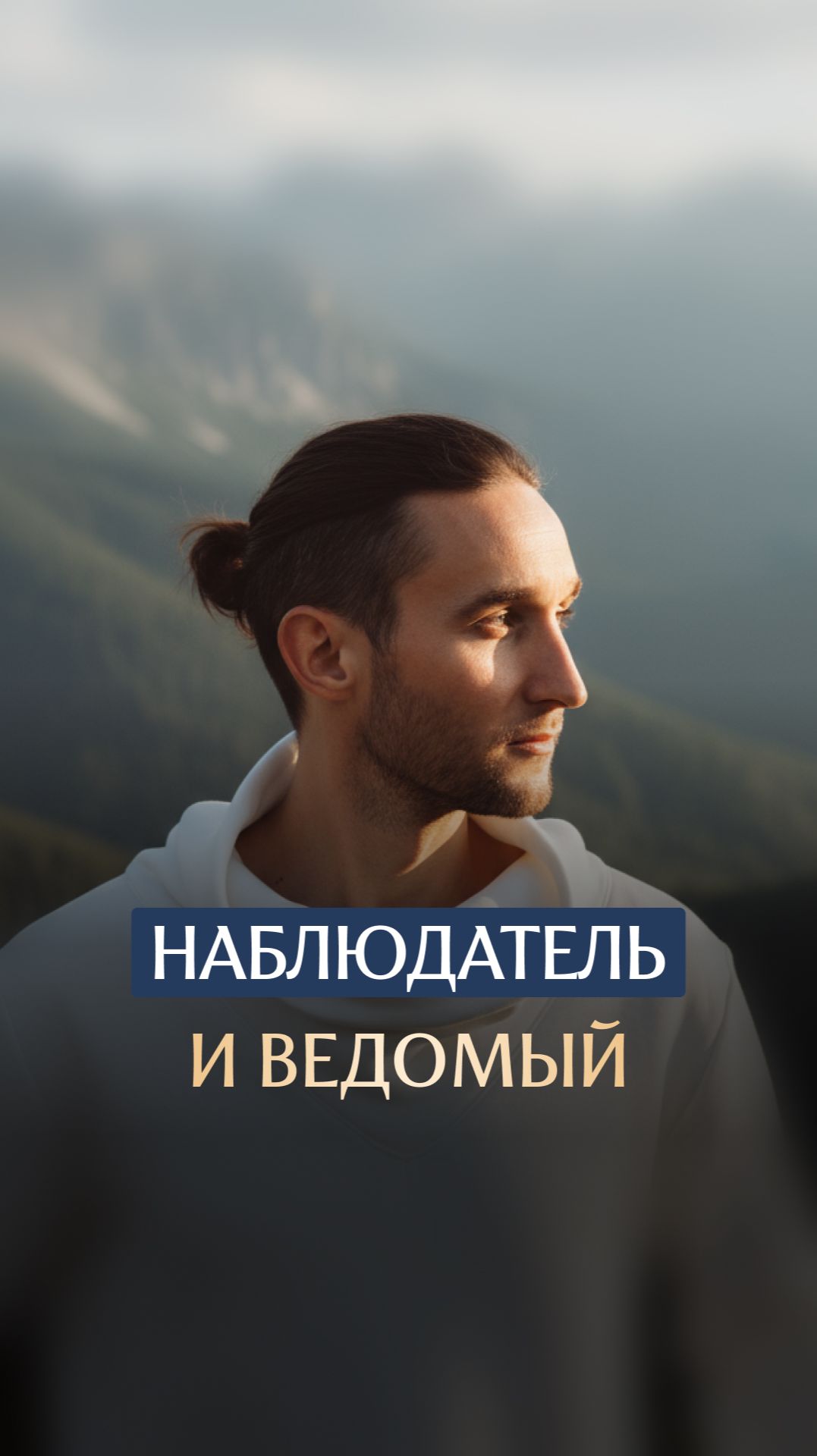 Наблюдатель и ведомый смотреть онлайн