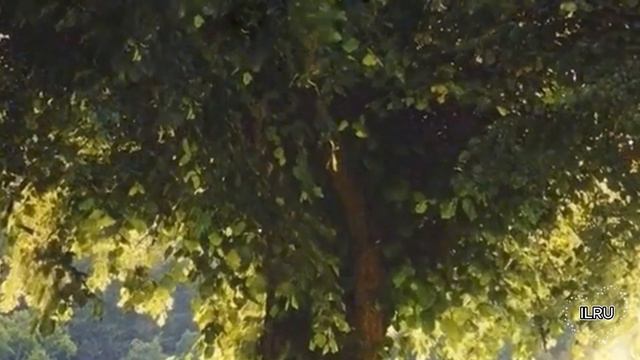 Слушать рассказ  - Искал работу, а нашел любовь -  Удивительные истории из жизни