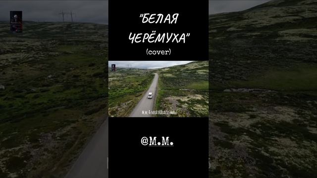 Белая черёмуха✨🎶✨🎶✨🎶🥰🥰💥👍