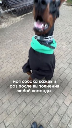 Базовый минимум