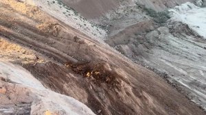 Бульдозер Caterpillar D8T работает на опасном склоне.