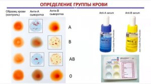 Лекция 10. Нормальная физиология для ИКМ и ИМД. Физиология крови. Савинкова И.Г.