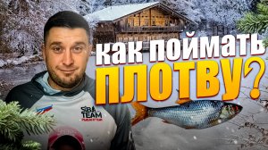Основы по ловле плотвы