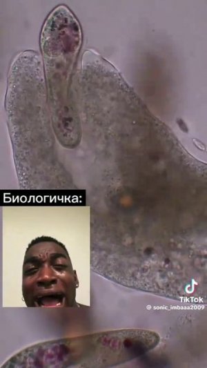 хахахахахахахахаххаха