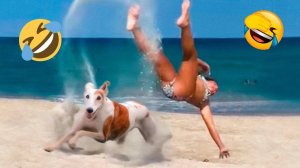 Я ржал до слез 😂 5 Минут смеха 2025 Смешные видео Лучшие Лютые ПРИКОЛЫ Ноября! Подборка