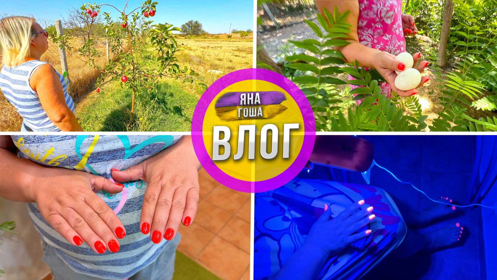 Что с садом после лета? Инжир, слива, яблоки. Где урожай? Неоновые ноготочки. Крупные яйца. Виноград смотреть онлайн