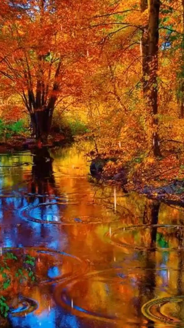 Наведи ... смотреть онлайн