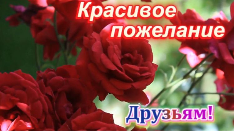 Моим друзьям! смотреть онлайн