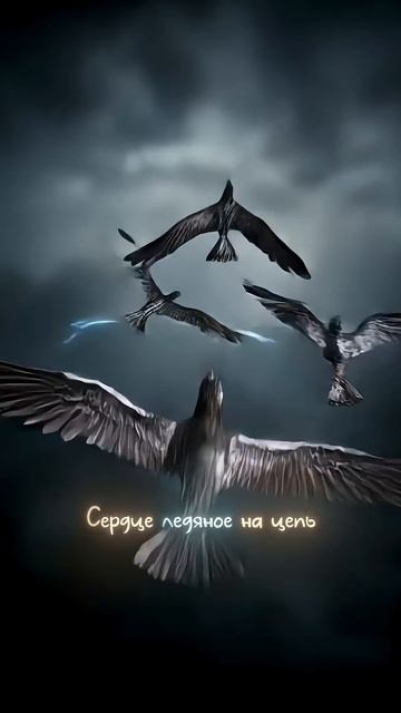 Премьера совместного трека! Стас Пьеха, София Берг — Сердце ледяное смотреть онлайн