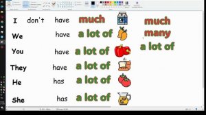 Spotlight 4, Module 3 Much, Many, A lot of