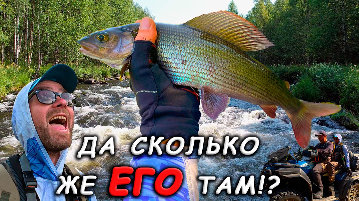 КОЛЬСКИЙ. Логово ХАРИУСА. Ураганим на КВАДРИКЕ. Часть 1