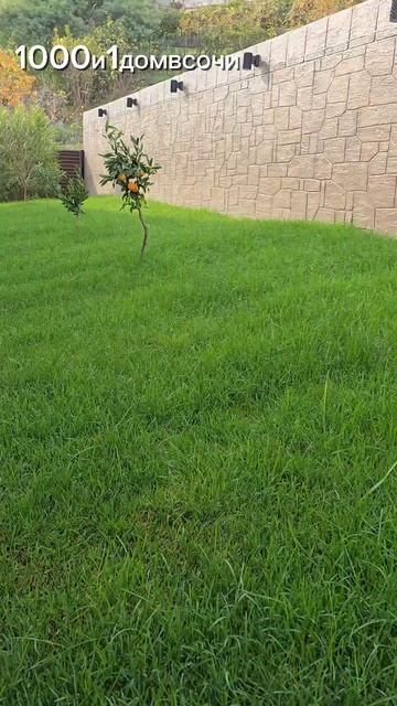 15-11-2025 смотреть онлайн