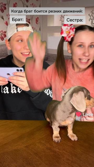 Джулия попросила выставить видос. это не воравство! смотреть онлайн