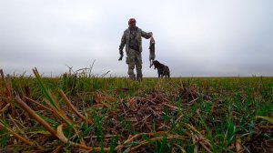 ДВА ДУПЛЕТА !!!! ОХОТА НА ЗАЙЦА  !!!!