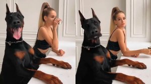 #смешныевидео -208