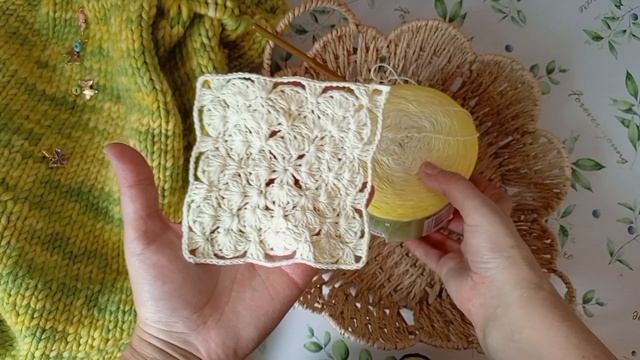 СП Пледомания, старт 3) смотреть онлайн