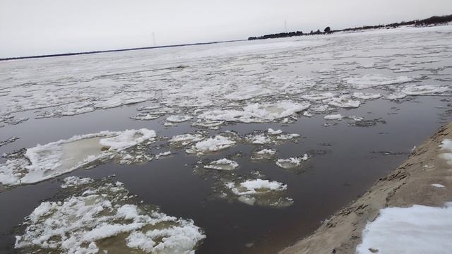Шуга на Зее. Амурка смотреть онлайн