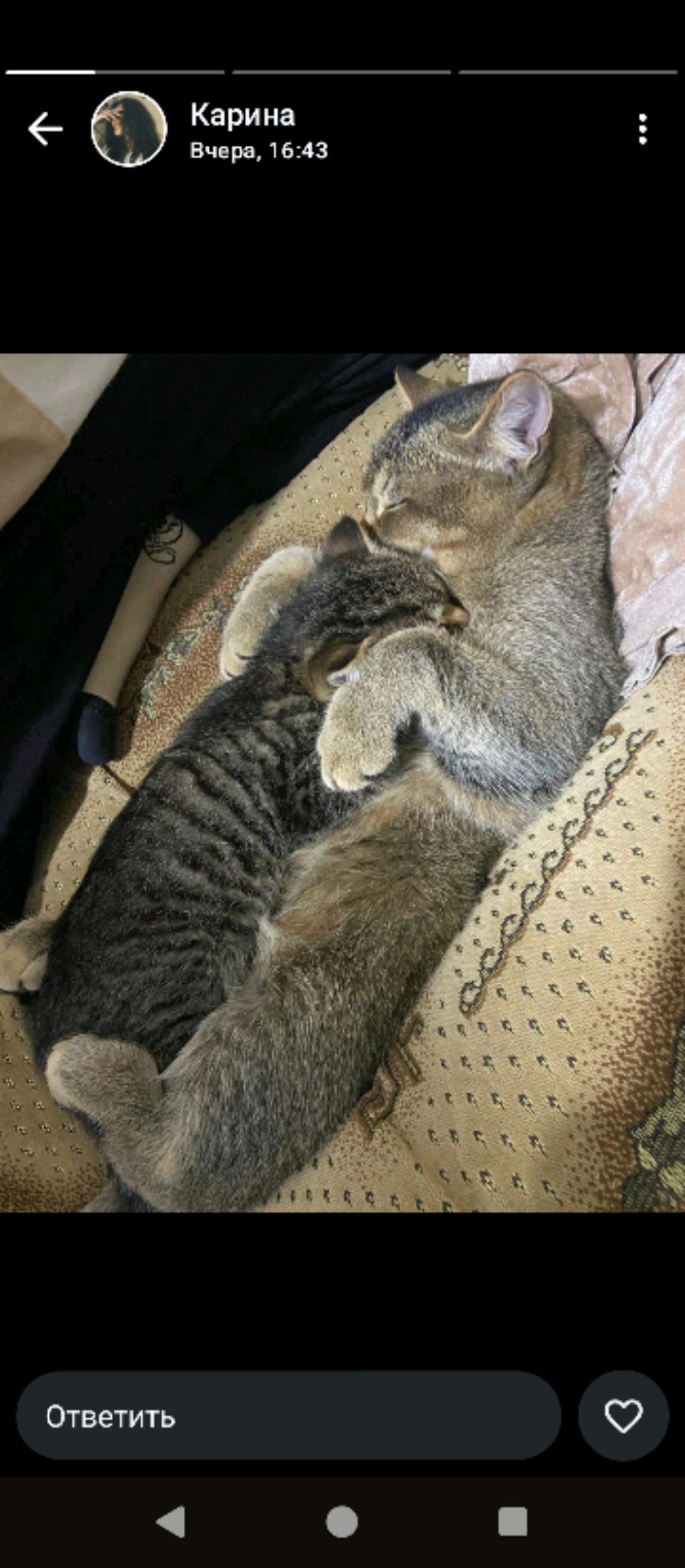 барс смотреть онлайн