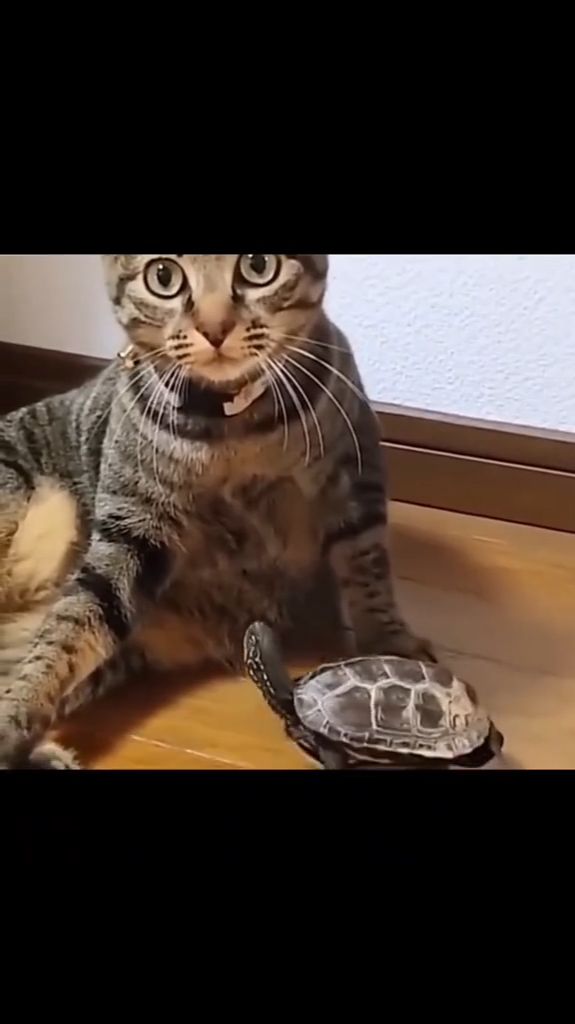 Смешно 7 смотреть онлайн