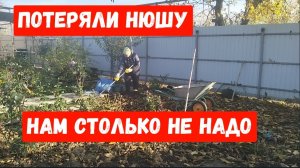 #123🏡Потеряли Нюшу/Проводила мужа/Нам столько не надо