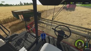 фс25 журавлёво ч.11.Началась уборка зерновых в нашем хозяйстве