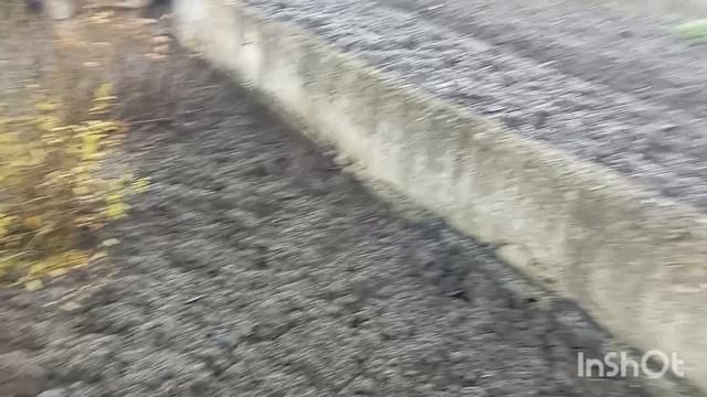 ✅Первые заморозки🥶.Утренний сюрприз😯.15.11.25 смотреть онлайн