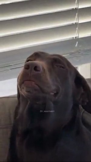 Я тут вообще не причём