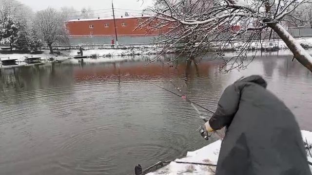 Светлые Горы Форель5 15.11.2025г. смотреть онлайн