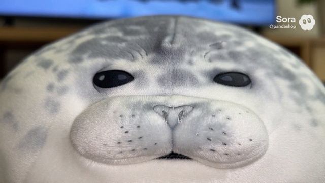 ЗАГОВОР ТЮЛЕНЯ Артикул на ВБ: 193431345 #тюлень #тюлени #игрушки #мягкиеигрушки #sora #прикол смотреть онлайн