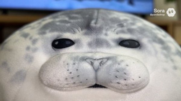 ЗАГОВОР ТЮЛЕНЯ Артикул на ВБ: 193431345 #тюлень #тюлени #игрушки #мягкиеигрушки #sora #прикол