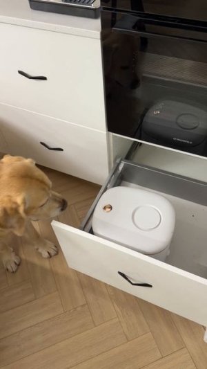 От него ничего не спрячешь😁