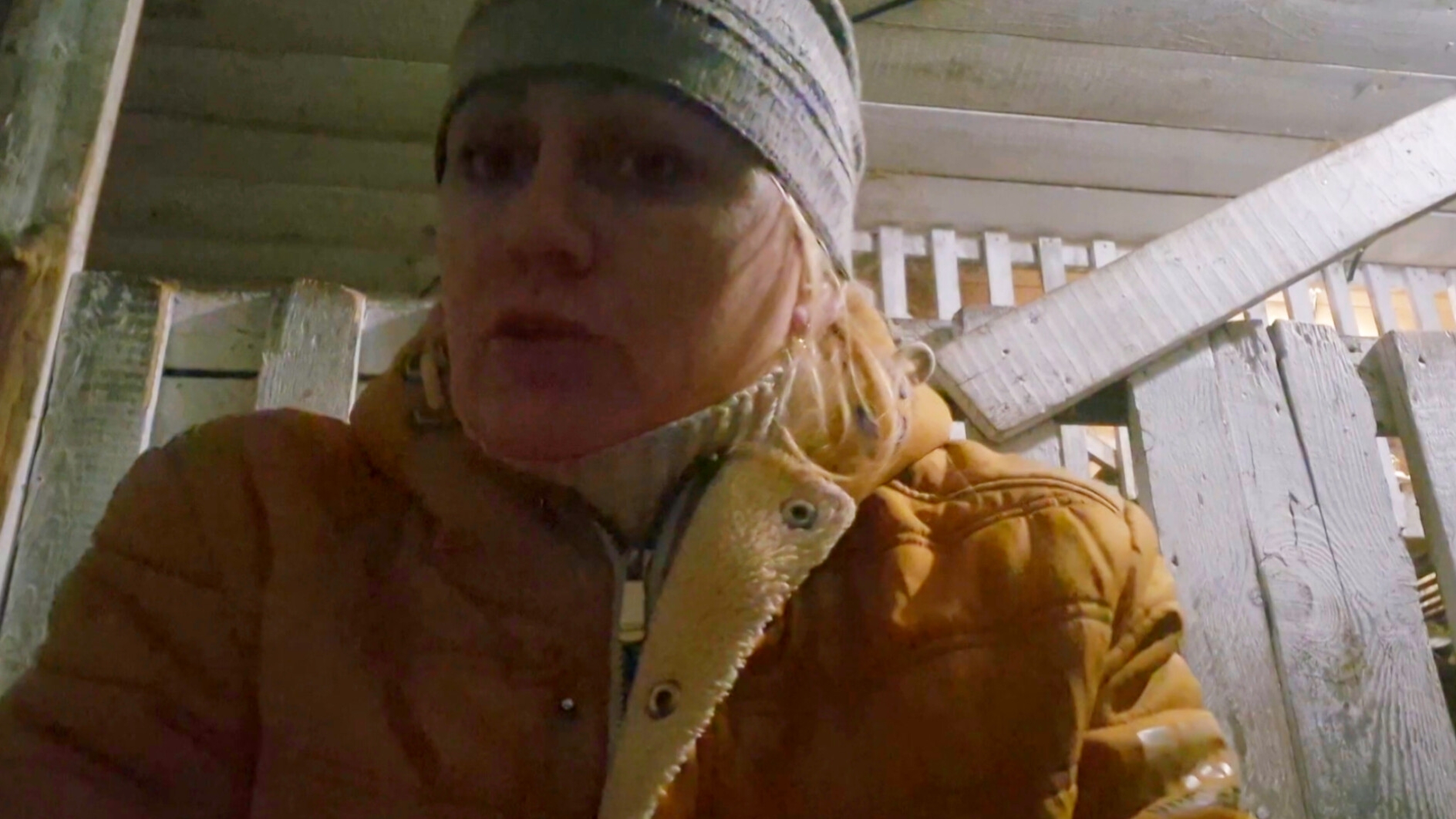 Чем занимался Андрей,Воет Собака меня это пугает,Деревенские Ла Ла Ла смотреть онлайн