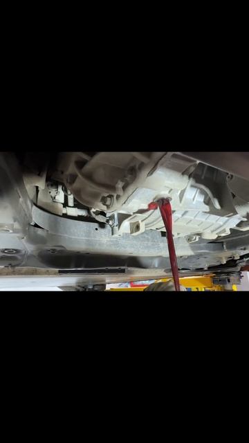 Масло Akkora: Новый стандарт ТО для Zeekr 001 💪 #аккора #масло #моторное #Zeekr смотреть онлайн