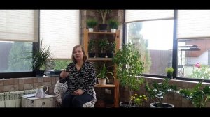 Перец — моя гордость! Как я добиваюсь богатого урожая без лишних хлопот: мои простые правила