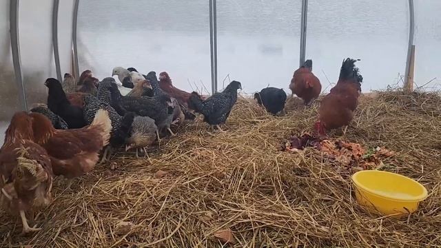 Ep.199 That's It We Are Moving It (Russian Subtitles) смотреть онлайн