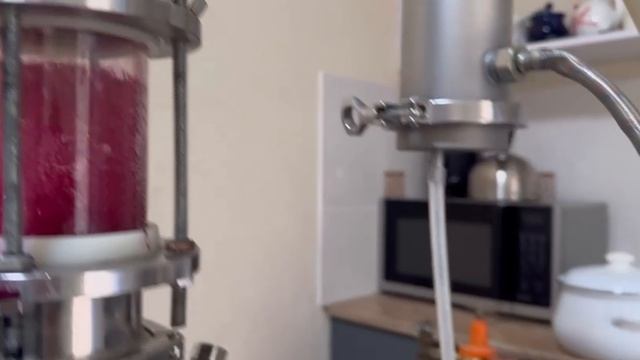 Наши будни. Обрезаем виноград 🍇. смотреть онлайн