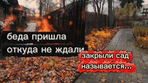 Зимовка хост под листьями. Последний день в домике 😳