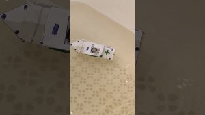 утопление Британика мини