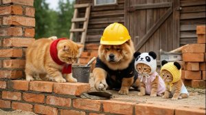 Из жизни Деревенских Котиков