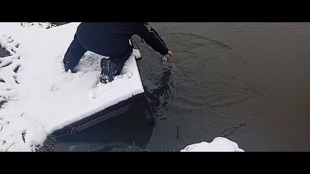 Светлые Горы Щука2 15.11.2025г. смотреть онлайн