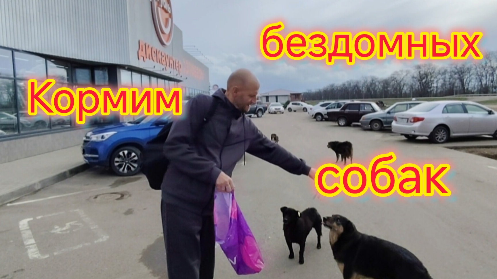 Ейск❤️/Кормим бездомных СОБАК/На ЮГЕ цветут одуванчики/Пшённая каша с ТЫКВОЙ/Неожиданная помощь смотреть онлайн