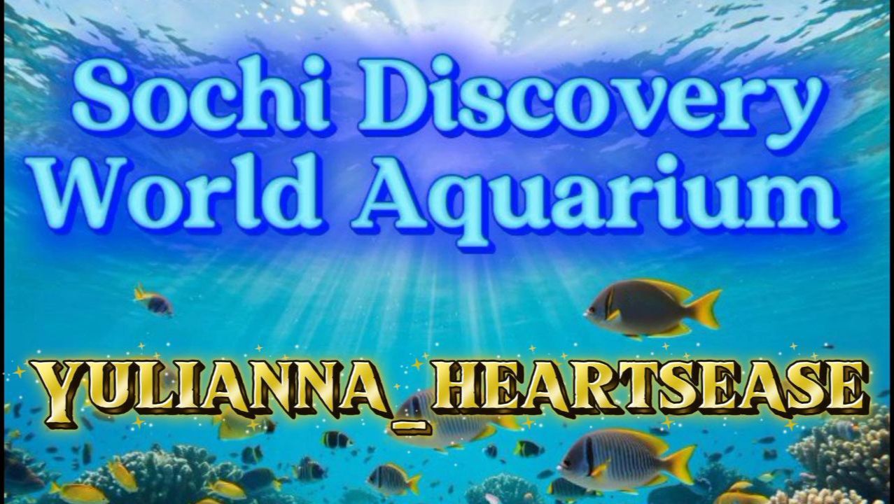Sochi Discovery World Aquarium