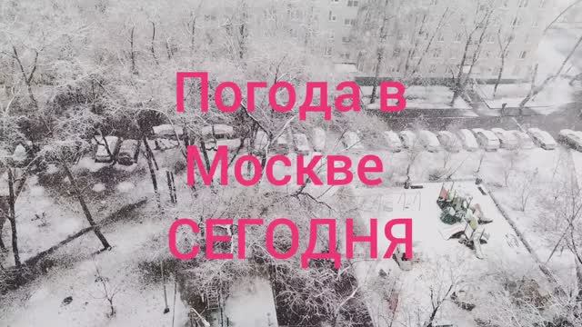Погода в Москве сегодня