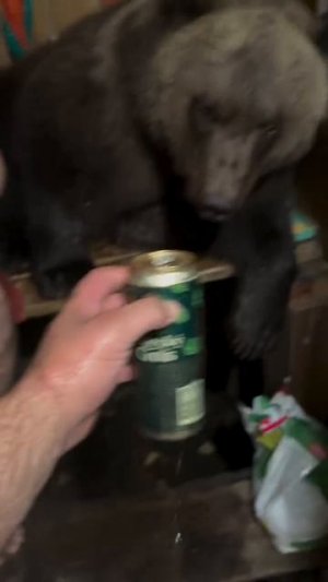 С медведем в парилке 💪🐻😅